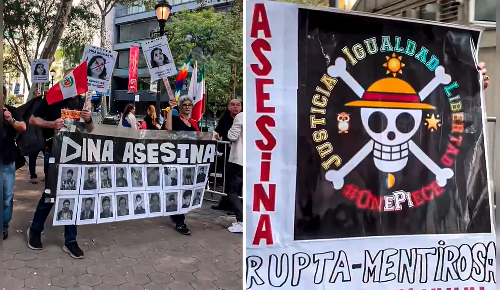 PROTESTAS EN CONTRA DE DINA EN ONU
