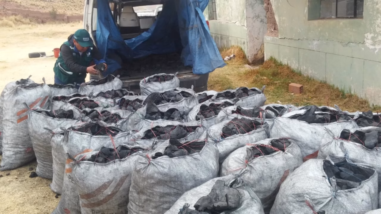 Condenan a más de 4 años a sujeto por tráfico ilegalcarbón