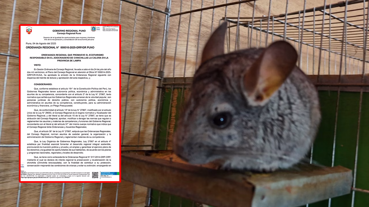 Declaran de interés regional la promoción del ecoturismo responsable en el zoocriadero de chinchillas
