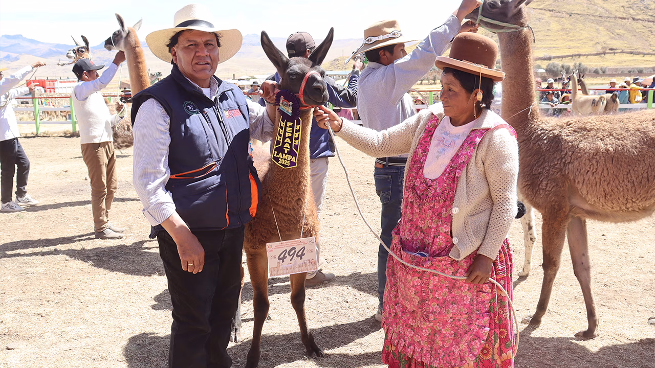 Lampa exige atención urgente a proyectos agropecuarios