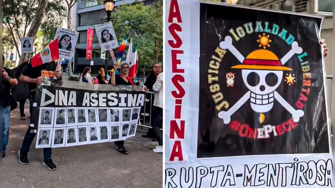 PROTESTAS EN CONTRA DE DINA EN ONU